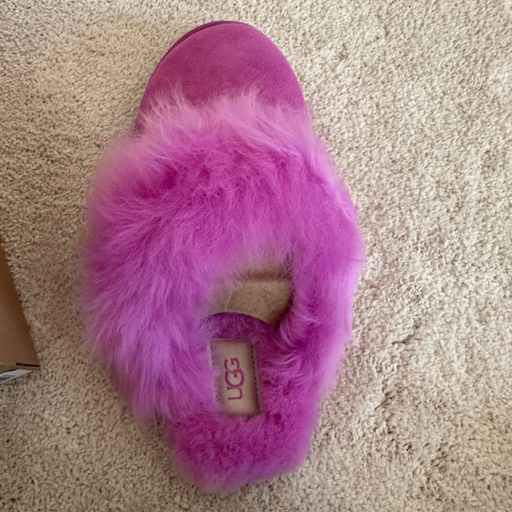 UGGs slippers